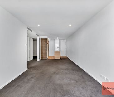 146/264 City Walk, City ACT 2601 - Apartment For Rent | Domain - Photo 1