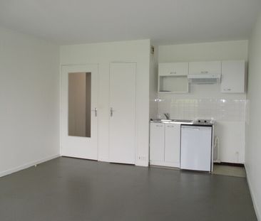 Location Appartement 1 pièce 30m² OLIVET 45160 - Photo 3