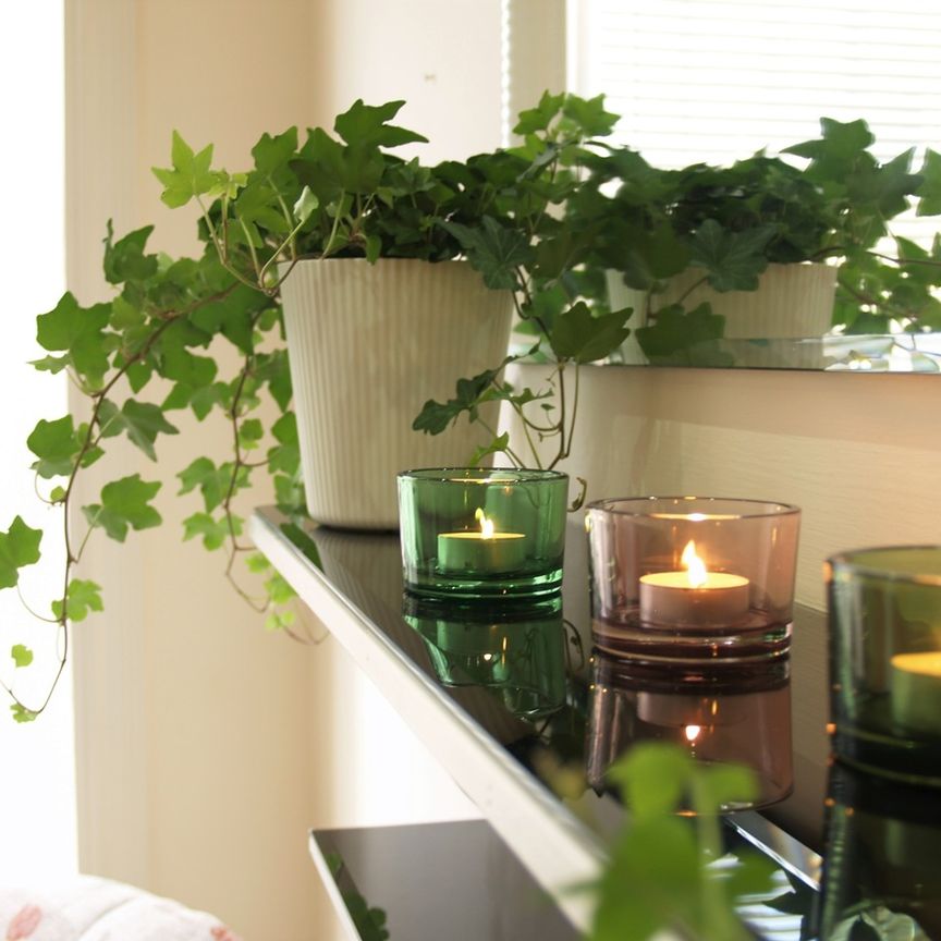 2 Bed Flat, James Morrison Street, G1 - Photo 1