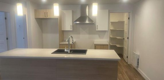 3 CH - 2 SDB - Waterloo - $1,550 /mo - Photo 2