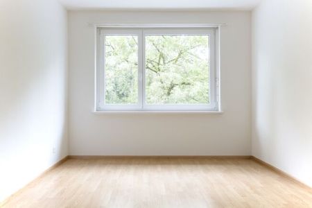 Beautiful apartment with view on Gorenmatt - Photo 4