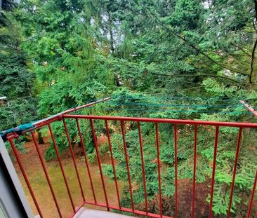 Pronájem bytu 2+1 v osobním vlastnictví 54 m², Litvínov - Photo 6