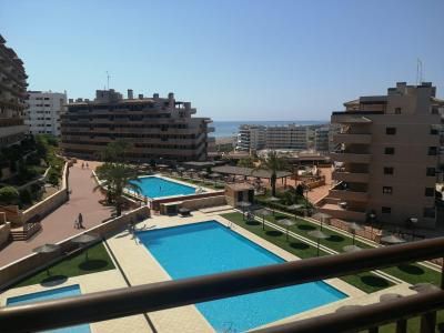 Apartment - Arenales del sol - Photo 4