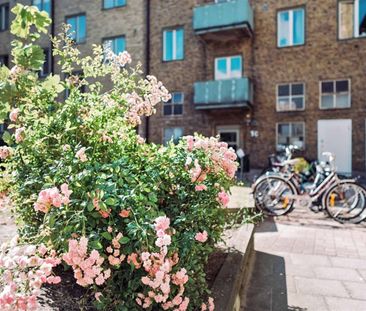 Norra Rostorpsgatan 1 B - Foto 6