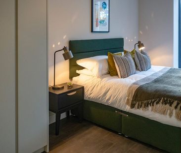 Scholarstown Wood - Photo 6