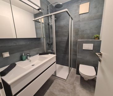 Voll ausgestattete Kleinwohnung in Grazer-Bestlage zu mieten - Auch... - Photo 2