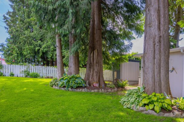 3-Bedroom & 2 Bath lower unit (Powell River) - Photo 1