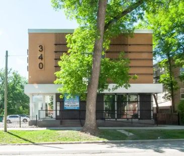 340 Assiniboine Avenue | 340 Assiniboine Avenue, Winnipeg - Photo 1