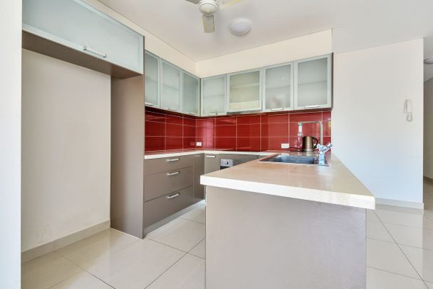 LEASE BREAK - LIGHT, LUXURY AND LEAFY VIEWS!! - Photo 1