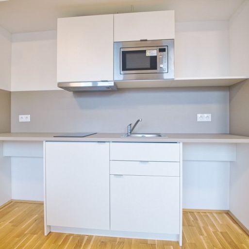 möblierte Apartments zur Kurzzeitmiete (2-12 Monate) / furnished apartments for short-term rental (2-12 months) - Photo 1