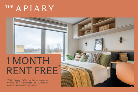 Studio to rent - Photo 2