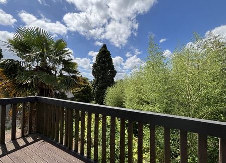 Peaceful Botanical - Photo 5