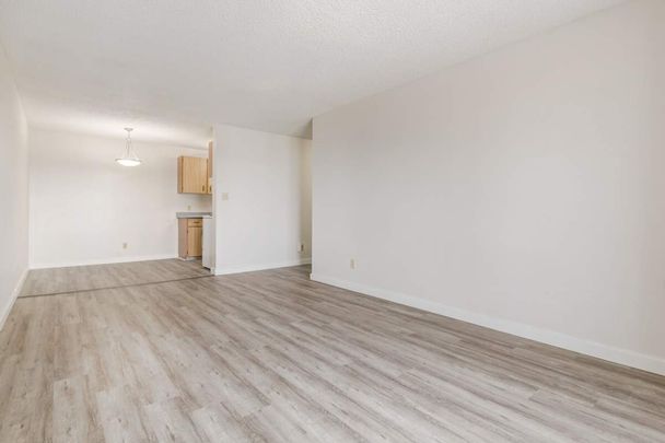 1 Bedroom - Photo 1