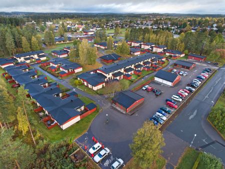 Kantarellen - Photo 4