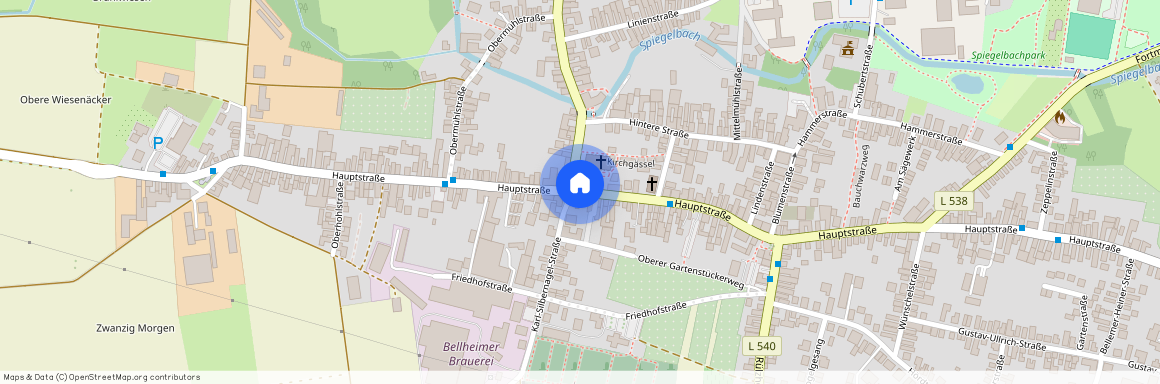 76756 Rheinland-Pfalz - Bellheim