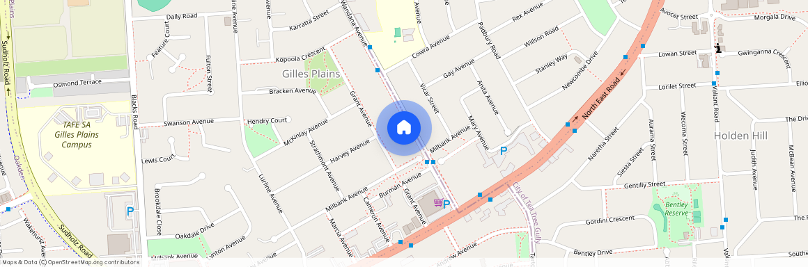 19a Wandana Avenue, SA 5086, Gilles Plains