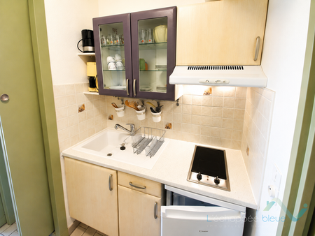 Location Appartement 1 pièce 22m² HYERES 83400 - Photo 3