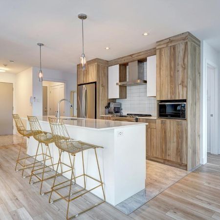 5 1/2 GRAND ET LUXUEUX- NOUVELLE CONSTRUCTION - Photo 3
