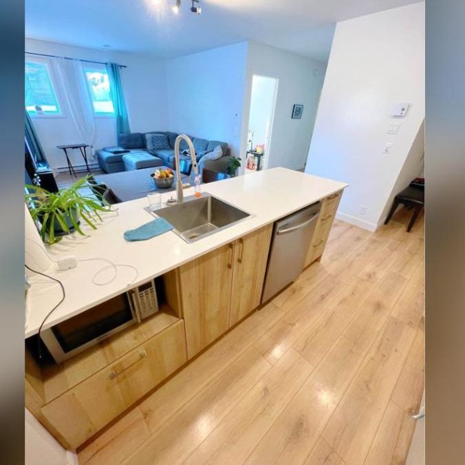 Appartement 4 et demi + un bureau - Photo 1