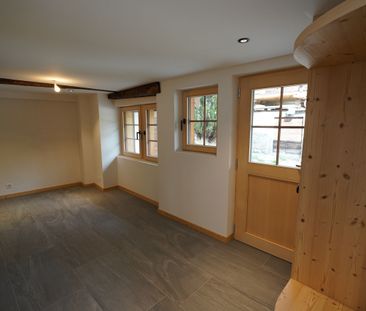 CHARMING APARTMENT FOR RENT IN MASE - Photo 1