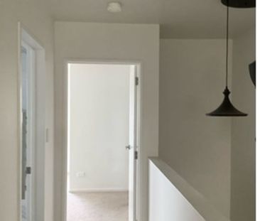 Beauty on Bellbird!! - Photo 4