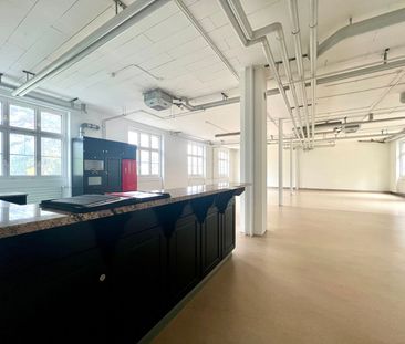 2.5 Zimmer, 180 m², EG - Photo 6