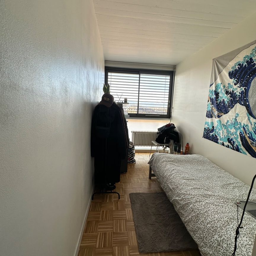 12 m² - Photo 1