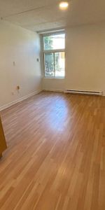 Studio - Saint-Charles-Borromée - $1,049 /mo - Photo 3