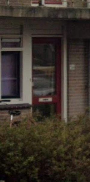 Appartement de 2 pièces au rez-de-chaussée, Vierkant 58, Wognum - Foto 1