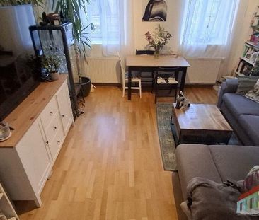 Gemütliche Erdgeschoßwohnung sucht langfristige/n Mieter/In- - Foto 1