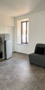 Location Appartement 1 pièce 25m² - Photo 3