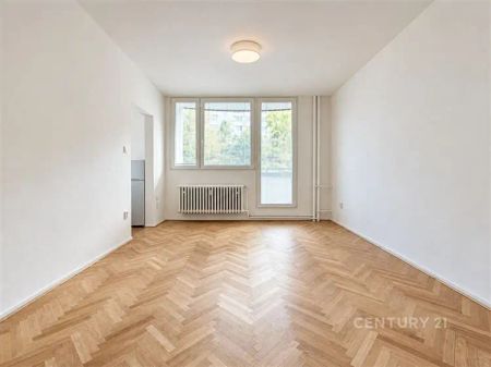 Pronájem útulného 1+KK po rekonstrukci, Ježkova - Photo 3