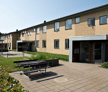 Østervang, 18. st.th., 8840, Rødkærsbro - Foto 6