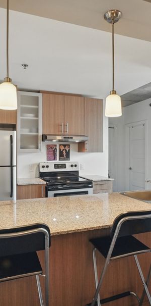 TRÈS GRAND CONDO 1 CHAMBRE CENTRE VILLE - Photo 1