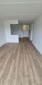 2 CH - 1 SDB - Gatineau - $1,699 /mo - Photo 4