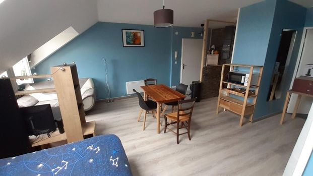 Location Appartement 1 pièce Meublé 30m² DAMMARTIN EN GOELE 77230 - Photo 1