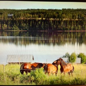 Äspnäs, Strömsund - Foto 2