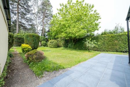 3 bedroom bungalow to rent - Photo 3