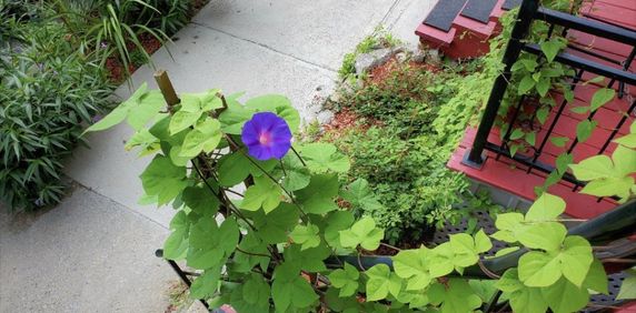 Saisissez Location Vous Ne Serez Pas - Photo 2