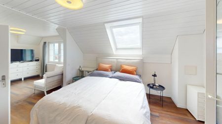 IDYLLIC LIVING IN A MAGNIFICENT PLACE IN REMETSCHWIL - Photo 4