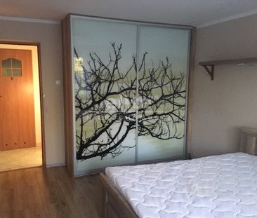 Żółwia Błoć - Zdjęcie 4