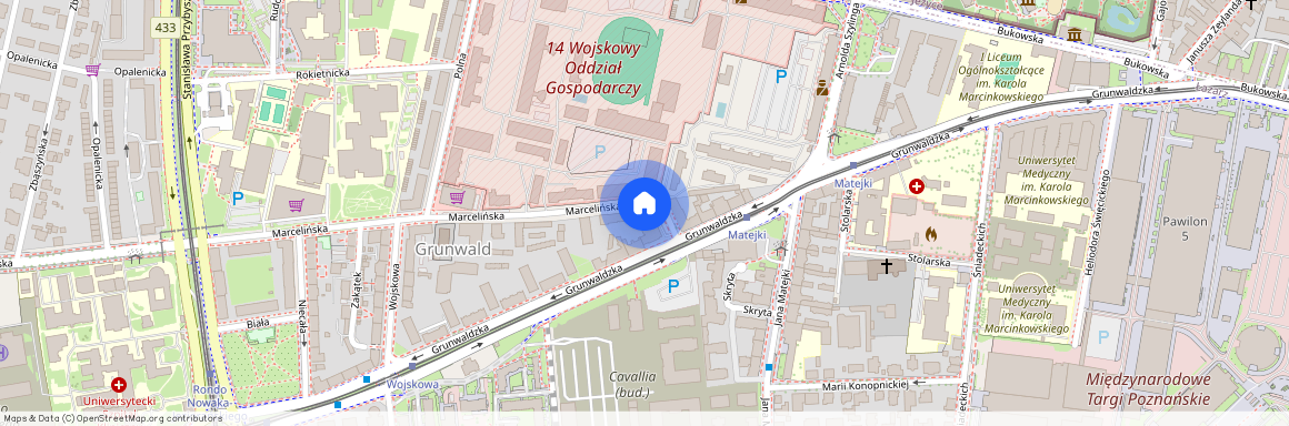 Do wynajęcia nowe 2 pokojowe Ataner -Marcelińska, Kasztelanów, Grunwald, Poznań, wielkopolskie