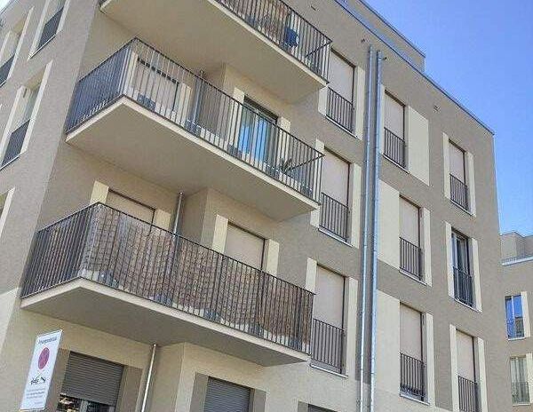 wohnen in Köpenick - Photo 1