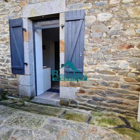 Location Appartement 1 pièce 21m² - Photo 4