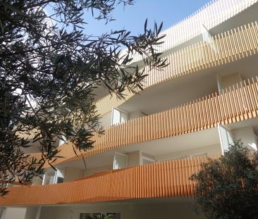 Location Appartement 2 pièces 38m² SERIGNAN 34410 - Photo 2