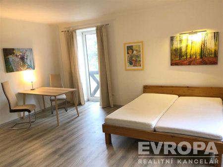 Pronájem bytu 1+kk 47 m2 - Fotografie 3