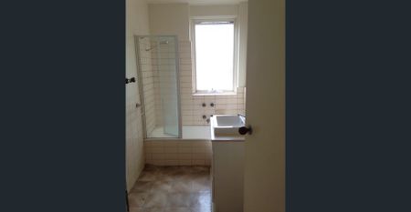 Quiet Sunny Space and a Great Location - Photo 5