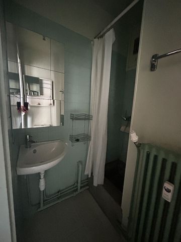 Location Appartement 1 pièce 17m² LILLE 59000 - Photo 4