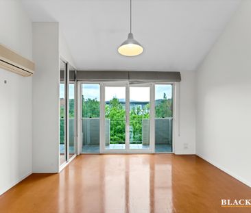 8 Bluebell Street, O'Connor ACT 2602 - House For Rent | Domain - Photo 1