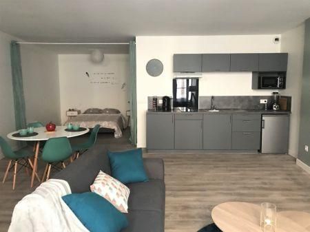Location - Appartement - 1 pièces - 53.00 m² - montauban - Photo 3